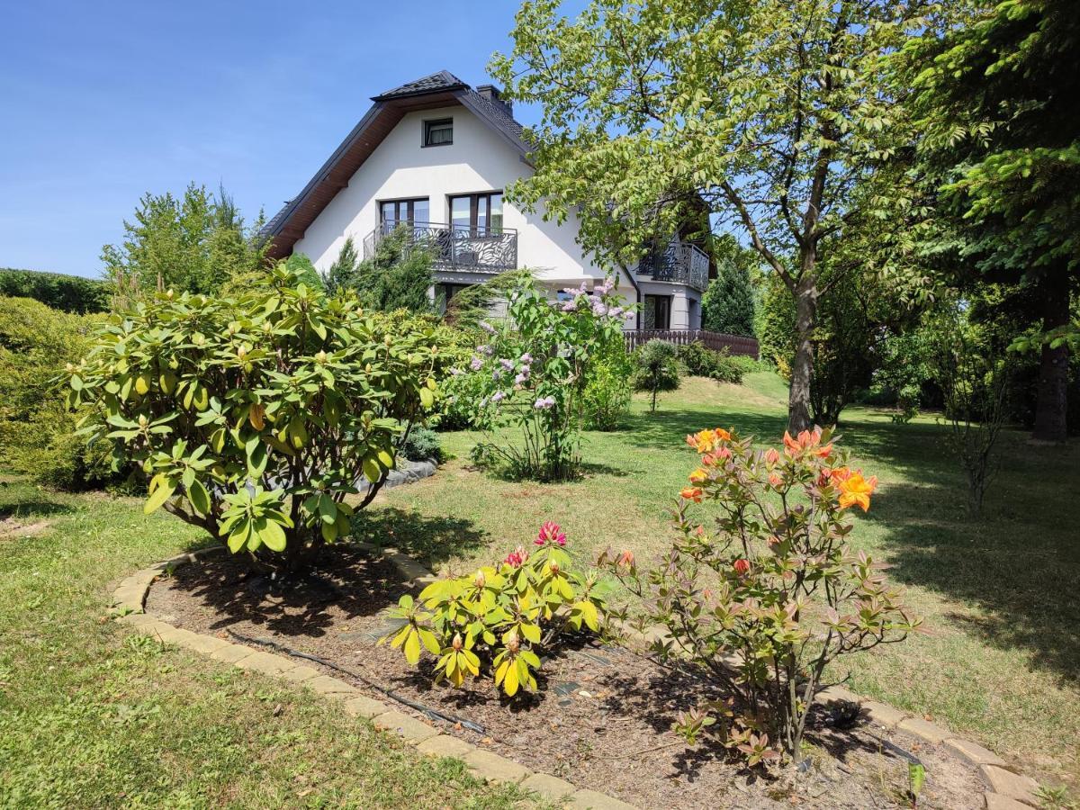 Orle Gniazdo Villa Bialy Kosciol  Dış mekan fotoğraf