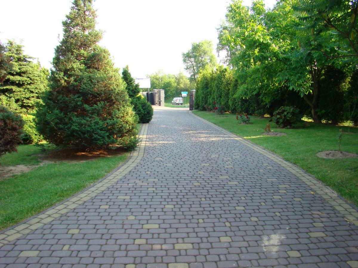 Orle Gniazdo Villa Bialy Kosciol  Dış mekan fotoğraf